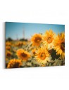 Güne Bakan Çiçekleri Kanvas Tablo